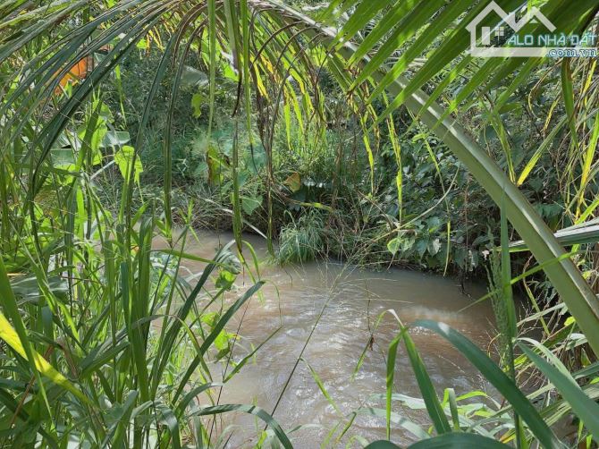 Bán Khoảng 6 sào 4 (6431m2) đất Láng Lớn, huyện Châu Đức, BRVT. - 5