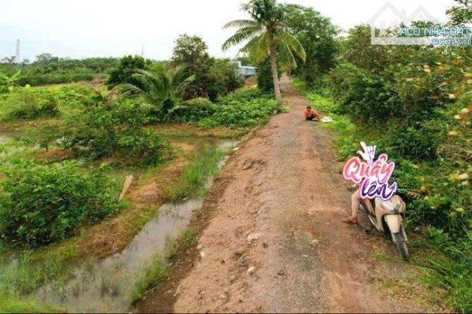 Siêu phẩm, 1000m2 đất vườn 20x 50m, chuyển thổ view kênh chỉ 670tr - 6