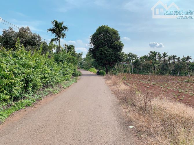 Bán Khoảng 6 sào 4 (6431m2) đất Láng Lớn, huyện Châu Đức, BRVT. - 6