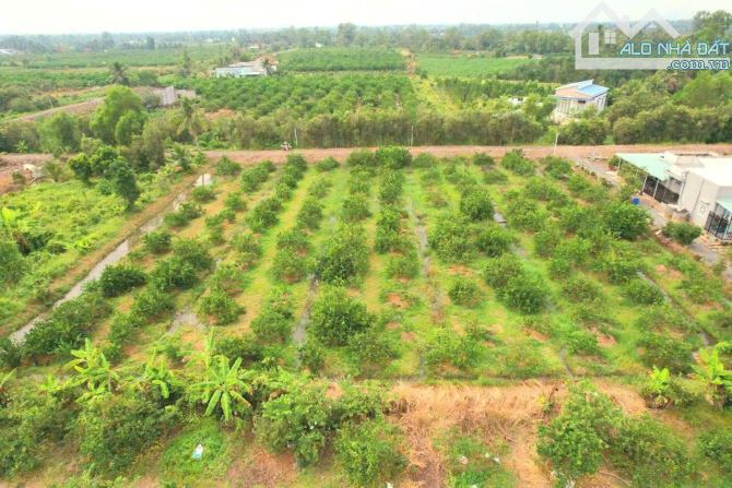 Siêu phẩm, 1000m2 đất vườn 20x 50m, chuyển thổ view kênh chỉ 670tr - 7