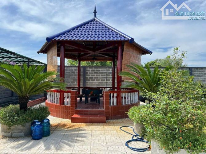 Hiếm có khó tìm: Nhà vườn 1.000m² view sông Vàm Cỏ, chỉ 200m ra đường lớn - 7
