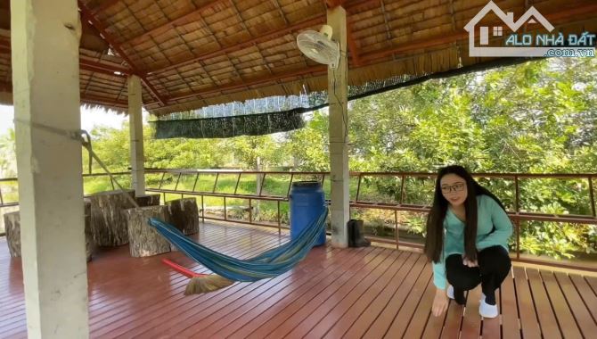 🏡🌴 BÁN NHÀ VƯỜN NGHỈ DƯỠNG VIEW SÔNG – PHƯỜNG TÂN HẠNH, TP VĨNH LONG 🌳 - 8