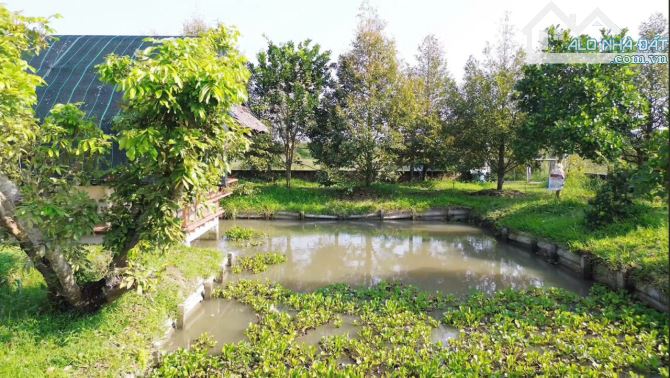 🏡🌴 BÁN NHÀ VƯỜN NGHỈ DƯỠNG VIEW SÔNG – PHƯỜNG TÂN HẠNH, TP VĨNH LONG 🌳 - 9