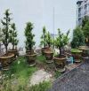 BÁN GẤP ĐẤT FULL THỔ CƯ MẶT TIỀN THẠNH XUÂN 23 – SỔ HỒNG RIÊNG – QUẬN 12, TP.HCM