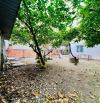 Đất Đẹp 8.5x32m Nở Hậu 12m Đường Bà Điểm 3, Hóc Môn Giá 8.5 Tỷ Thổ 250m2