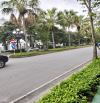 Cần gấp bán nhà biệt thự Ciputra diện tích 230m.