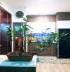 Cho thuê căn hộ Pegasus full nội thất 2PN trung tâm Biên Hòa