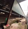 XT343 ➡️ Cho thuê xưởng 800m2 tại p - long bình  -Giá thuê  20triệu/Tháng  thương lượng