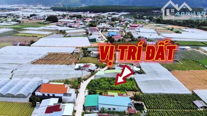 Đất thổ cư view đẹp tại D