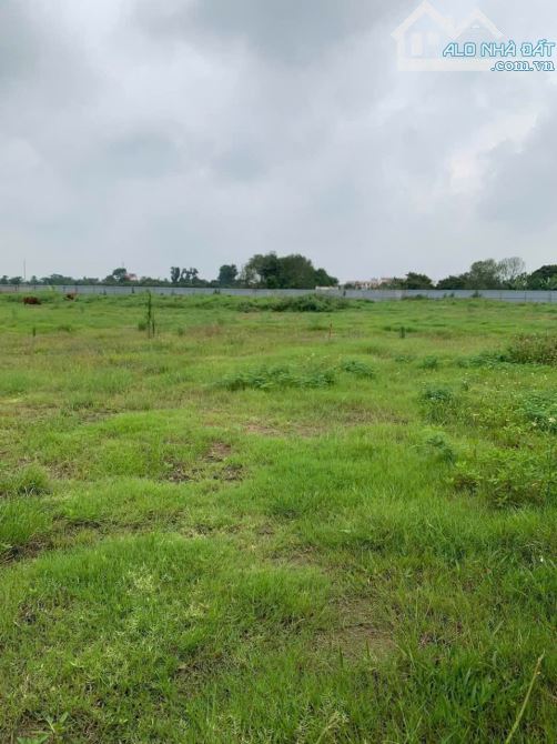 CHUYỂN NHƯỢNG 5000M2 ĐẤT CÔNG NGHIỆP TẠI THANH HÀ, HẢI DƯƠNG!
