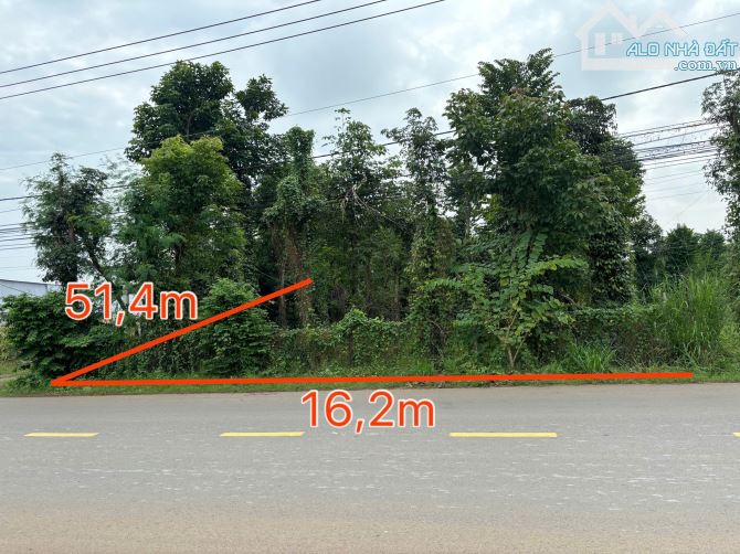 Thanh lý lô đất mt đường nhựa 10m