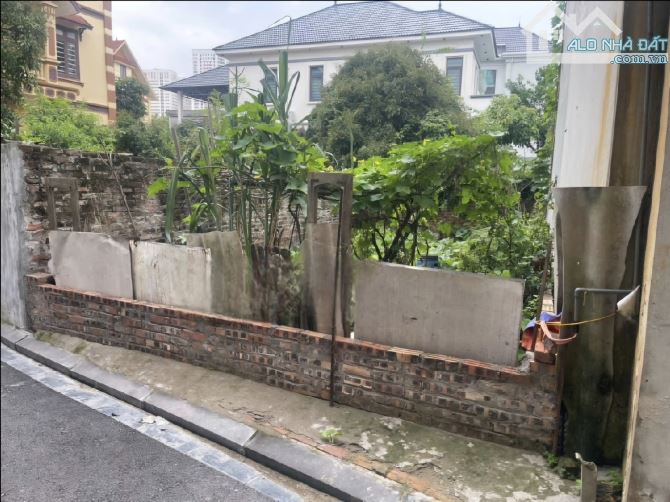 ‼️ SIÊU HIẾM ĐẤT ĐÔNG HỘI - GẦN CẦU ĐÔNG TRÙ - 50M² - CHỈ 5 TỶ ‼️