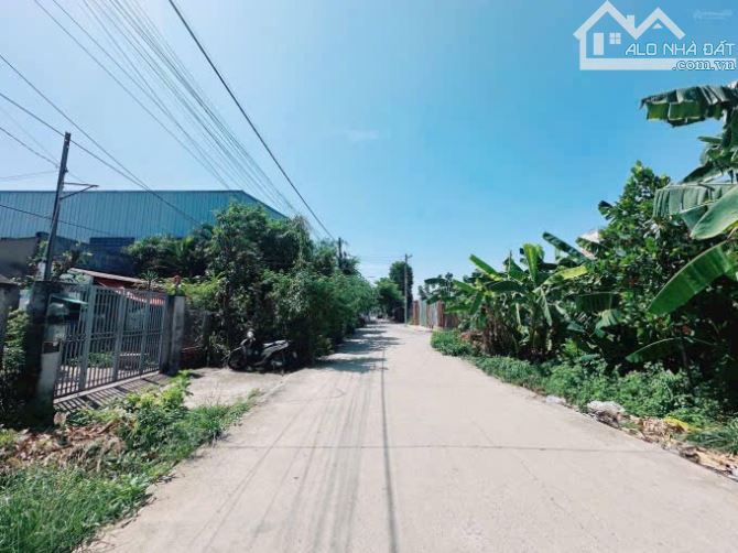Bán đất: MT Lô B Trần Văn Giàu, Đường Liên Ấp 1-2, Xã Phạm Văn Hai, Huyện Bình Chánh