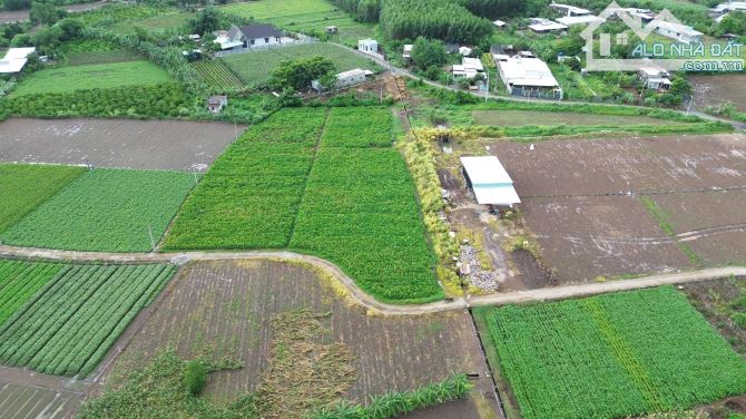 Chủ Gửi Bán Lô Đất Mặt Tiền Đường Bê Tông 5m Cách Đường nhựa 100m Đất Thuộc Xã Láng Dài