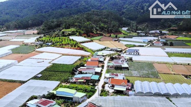Đất thổ cư view đẹp tại D