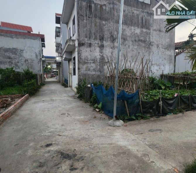 Bán mảnh đất Đấu Giá thôn 3 Vạn Phúc, Thanh Trì 65m2, đường thông, ô tô vào đất, 4,45 tỷ - 1