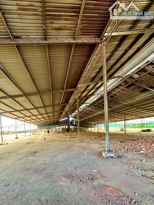BÁN RẺ ĐẤT, KHO, NHÀ XƯỞNG XÃ AN VIỄN, SỔ HỒNG RIÊNG 9.899m2, ĐƯỜNG RỘNG 6m THÔNG THOÁNG - 1