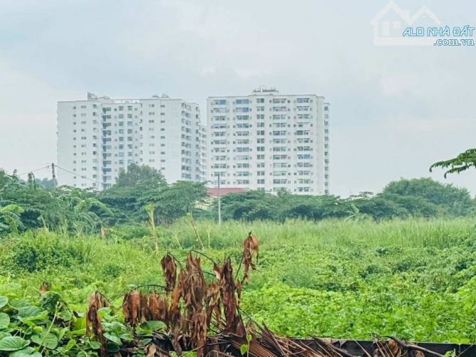 Cơ Hội Đầu Tư 9000m2 Đất Ở Đường Tây Lân - Phường Tân Tạo  Bình Tân Chỉ 129 tỷ - 1