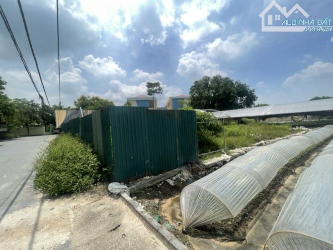 🧨 SIÊU PHẨM ĐẤT RUỘNG – 364m² – VÂN NỘI – ĐÔNG ANH – CHỈ 640 TRIỆU 🧨 - 1