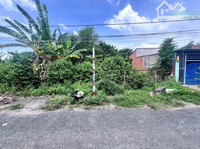 Chủ ngộp bán gấp đất hẻm 10 Phạm Hùng, tx Hòa Thành, dt 12x16 full thổ, giá 115tr/m - 1