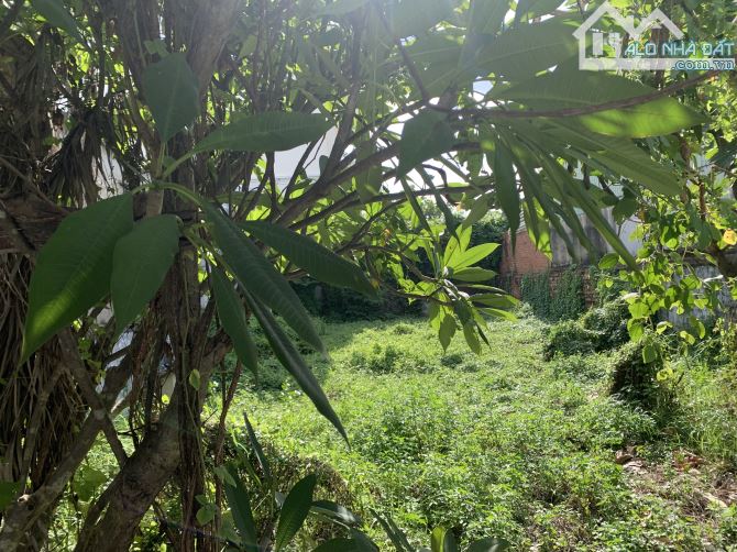 🏠 BÁN ĐẤT ĐẸP GIÁ TỐT – PHƯỜNG AN PHÚ ĐÔNG, QUẬN 12 - 1