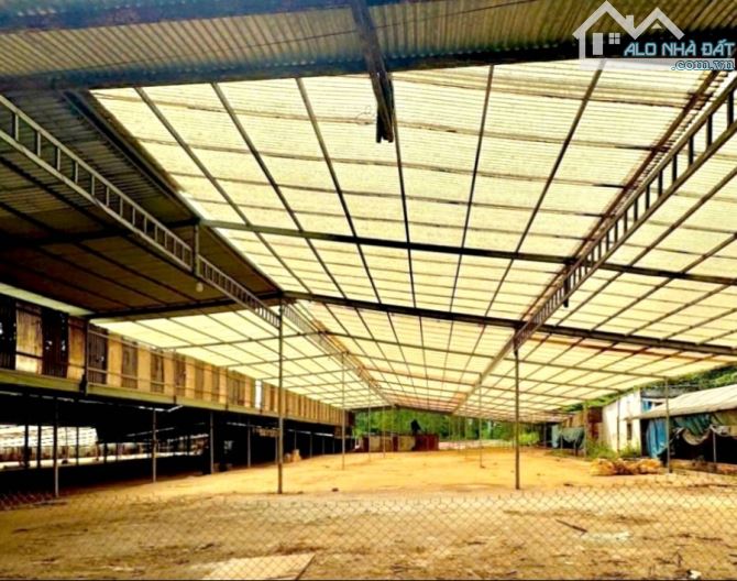 BÁN RẺ ĐẤT, KHO, NHÀ XƯỞNG XÃ AN VIỄN, SỔ HỒNG RIÊNG 9.899m2, ĐƯỜNG RỘNG 6m THÔNG THOÁNG - 2