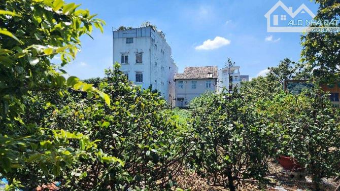 Cơ Hội Đầu Tư 9000m2 Đất Ở Đường Tây Lân - Phường Tân Tạo  Bình Tân Chỉ 129 tỷ - 2