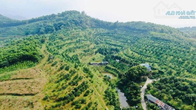 13.5 ha ĐẤT NGHỈ DƯỠNG XÃ LƯƠNG SƠN- CHỈ 250K/m2- sẵn nhà vườn và nhiều cây ăn quả - 2