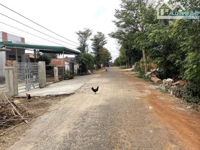 💥Lô TC 5*21m,Đường A1,Phạm Ngũ Lão, thôn 6,gần Vành Đai,nhiều lô khác - 2