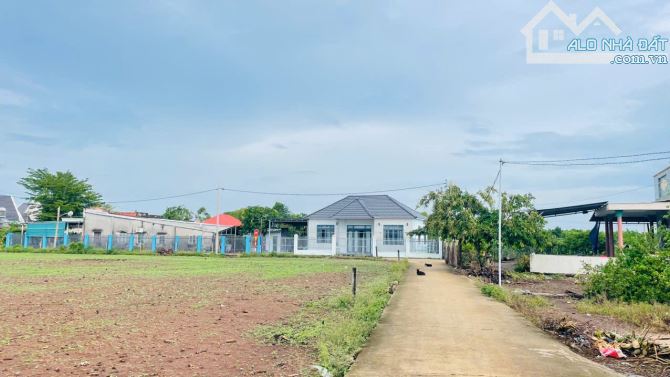 Chủ Gửi Bán Lô Đất Mặt Tiền Đường Bê Tông 5m Cách Đường nhựa 100m Đất Thuộc Xã Láng Dài - 2