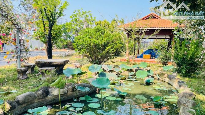 💥💥BÁN NHÀ VƯỜN TÂM HUYẾT GẦN BIỂN NO CÔNG VIỆC TẠI TT PHƯỚC HẢI - LONG ĐẤT.  Dt: 1310m2 - 2