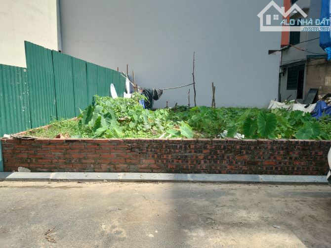 🔥Thanh khoản lô đất xóm Bắc, Kim Nỗ, gần Ô tô, giá đầu tư - 2