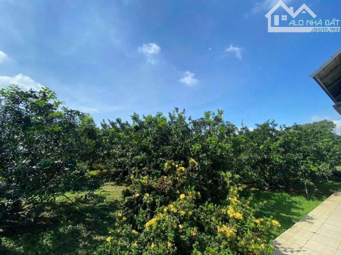 Siêu phẩm, bán gấp 11.000m2 mặt tiền đường nhựa 10m Bình lợi,Vĩnh Cửu. Giá chỉ còn 37 tỷ. - 4