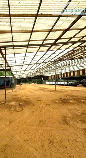 BÁN RẺ ĐẤT, KHO, NHÀ XƯỞNG XÃ AN VIỄN, SỔ HỒNG RIÊNG 9.899m2, ĐƯỜNG RỘNG 6m THÔNG THOÁNG - 3