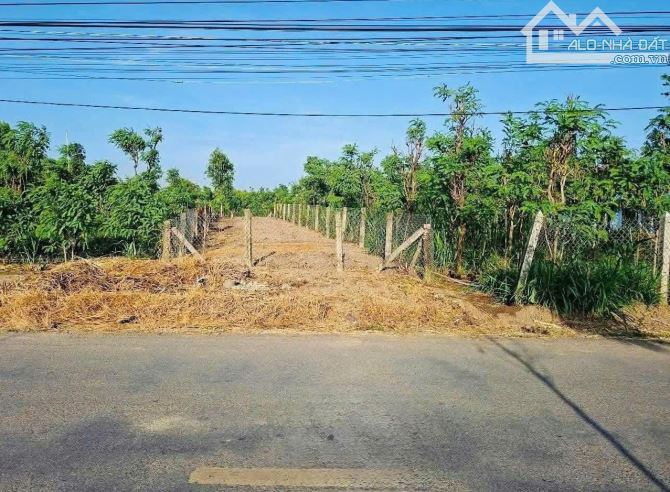 💎 Đất Đẹp ( 6 x 39m) Mặt tiền Huyện Lộ 02 gần ngã 4 Xóm Giá xã Kiểng Phước, Gò Công Đông - 3