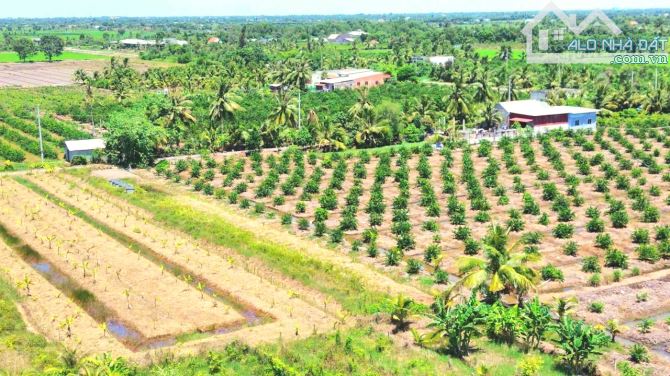 Siêu phẩm, 525m2 đất vườn 25 x18m View kênh chỉ 320 tr - 3
