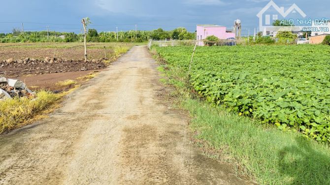 Chủ Gửi Bán Lô Đất Mặt Tiền Đường Bê Tông 5m Cách Đường nhựa 100m Đất Thuộc Xã Láng Dài - 3