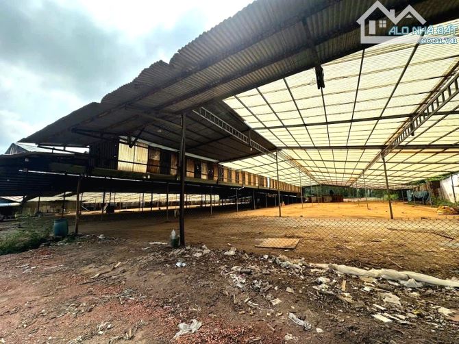 BÁN RẺ ĐẤT, KHO, NHÀ XƯỞNG XÃ AN VIỄN, SỔ HỒNG RIÊNG 9.899m2, ĐƯỜNG RỘNG 6m THÔNG THOÁNG - 4