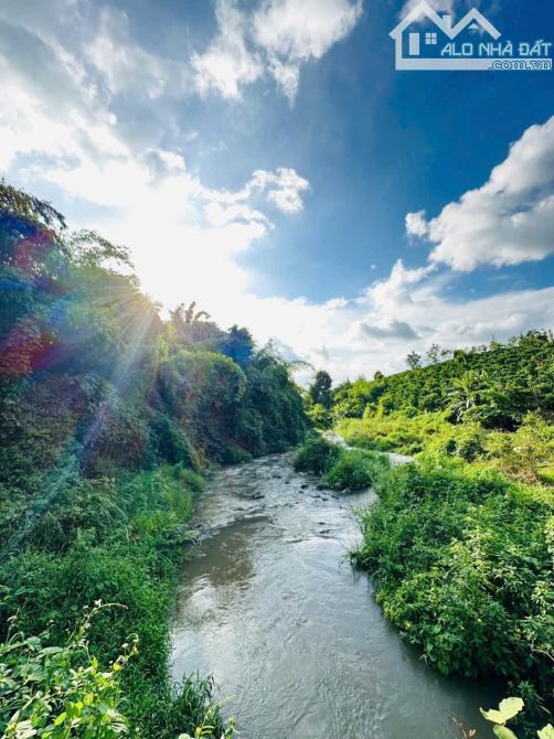 Cần bán lô đất đường Nguyễn Tất Thành, xã Nam Đà, KRông Nô, Đắc Nông - 4