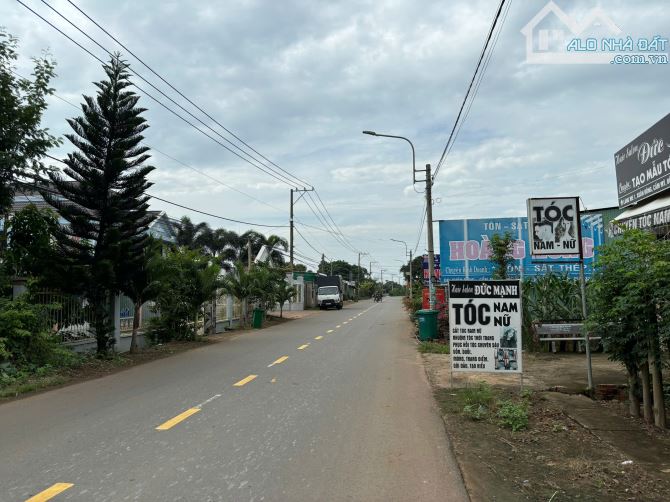 Thanh lý lô đất mt đường nhựa 10m - 4