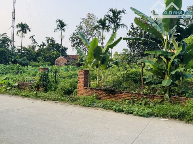 200M2 ( 23TR/M2 ) ĐỐI DIỆN CỔNG TRƯỜNG ĐẠI HỌC - 4