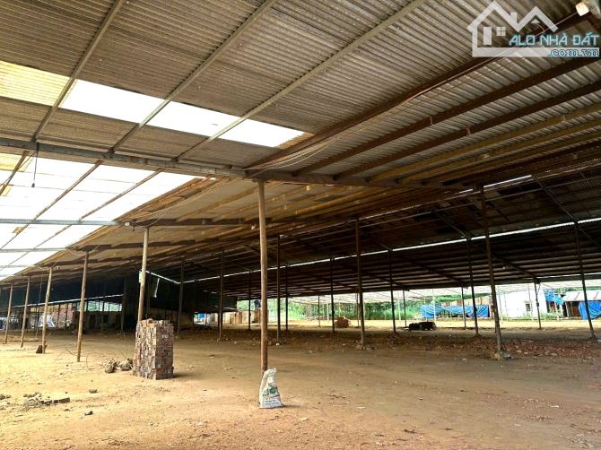 BÁN RẺ ĐẤT, KHO, NHÀ XƯỞNG XÃ AN VIỄN, SỔ HỒNG RIÊNG 9.899m2, ĐƯỜNG RỘNG 6m THÔNG THOÁNG - 5