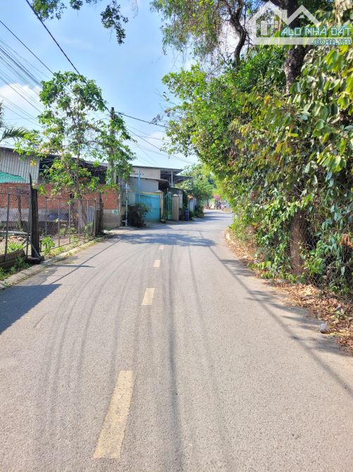 Bán đất 6x21m, hẻm Huỳnh Thị Tươi (thông và rộng 6m) p. Tân Bình - 5