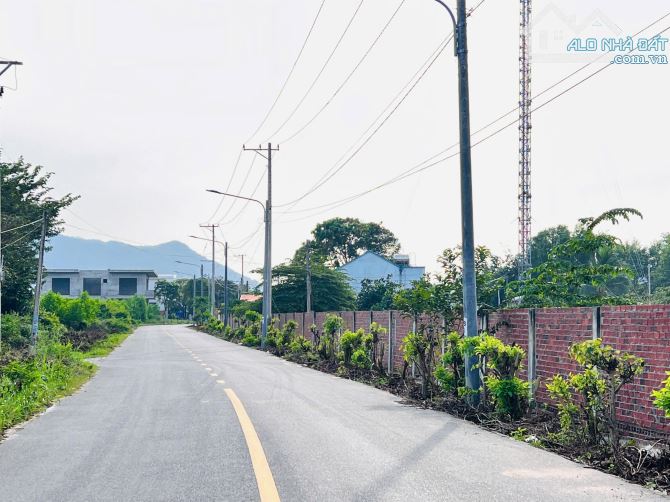 BÁN LÔ ĐẤT MẶT TIỀN ĐƯỜNG NHỰA XÃ PHƯỚC HỘI-TPHCM DT 4239M2 CÓ SẴN 262M2 THỔ CƯ - 5