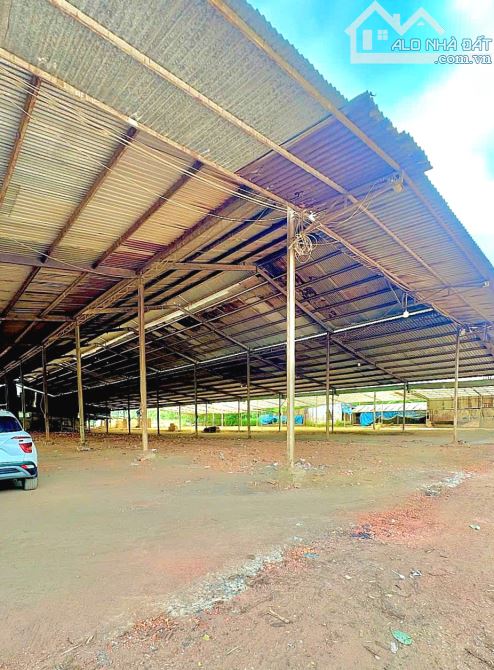 BÁN RẺ ĐẤT, KHO, NHÀ XƯỞNG XÃ AN VIỄN, SỔ HỒNG RIÊNG 9.899m2, ĐƯỜNG RỘNG 6m THÔNG THOÁNG - 6