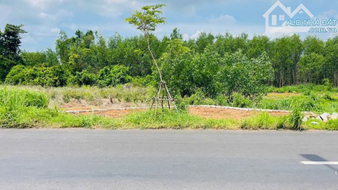Bán 38m đất mặt tiền đường tránh Ql55 Xã Đất Đỏ , TP HCM ,BRVT giá chỉ 3,5 tỷ - 6