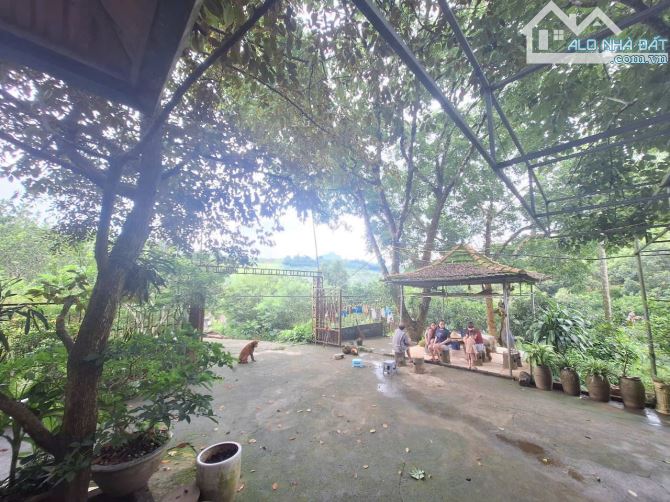13.5 ha ĐẤT NGHỈ DƯỠNG XÃ LƯƠNG SƠN- CHỈ 250K/m2- sẵn nhà vườn và nhiều cây ăn quả - 7