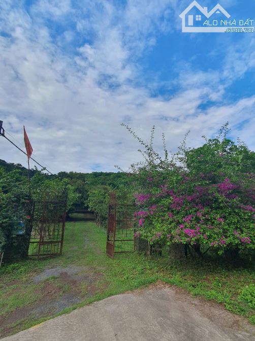 13.5 ha ĐẤT NGHỈ DƯỠNG XÃ LƯƠNG SƠN- CHỈ 250K/m2- sẵn nhà vườn và nhiều cây ăn quả - 8