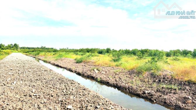 Siêu phẩm, 525m2 đất vườn 25 x18m View kênh chỉ 320 tr - 8
