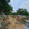 Siêu phẩm, bán gấp 11.000m2 mặt tiền đường nhựa 10m Bình lợi,Vĩnh Cửu. Giá chỉ còn 37 tỷ.
